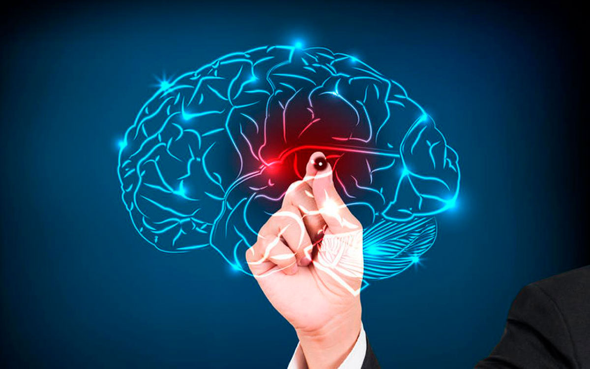 Neurociência e Bem-Estar. Você já parou para pensar por que certas situações despertam emoções tão intensas?